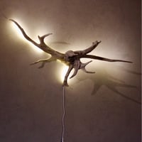 Wall hanging Driftwood tape light