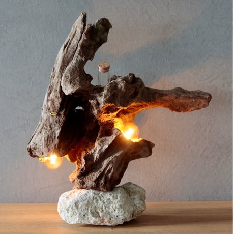 Wbulb table light
