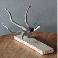 incense holder palm driftwood×amethyst