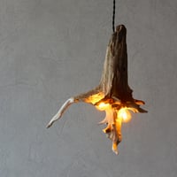 2bulbs Driftwood branch pendant light