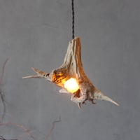 mini Driftwood pendant light