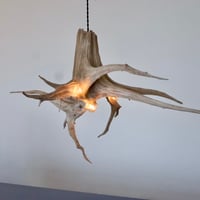 3bulbs Roots pendant light#4