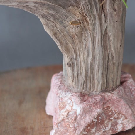 Driftwood stand flower vase#1