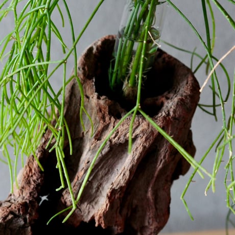 Driftwood×natunalstone Flower vase