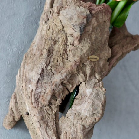 Hanging Flowervase#7