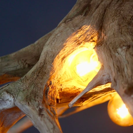 5bulbs Roots pendant light
