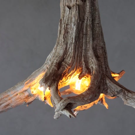 Driftwood roots pendant light