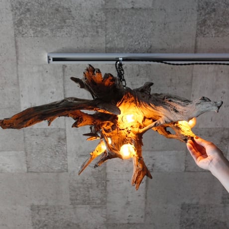 4bulbs Driftwood pendant light