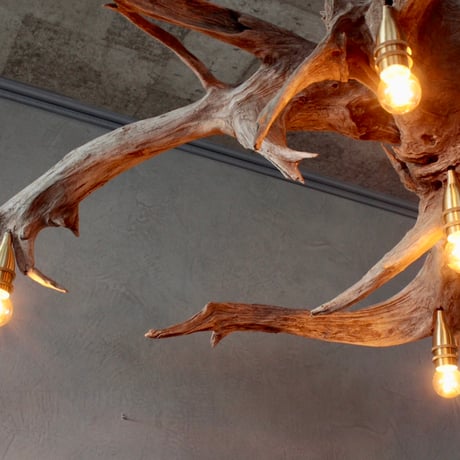 5bulbs Roots chandelier