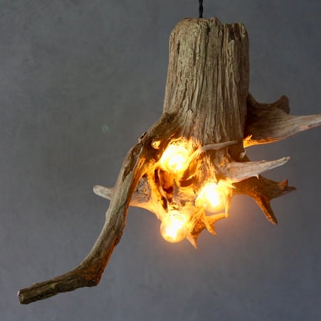 4bulbs Roots pendant light