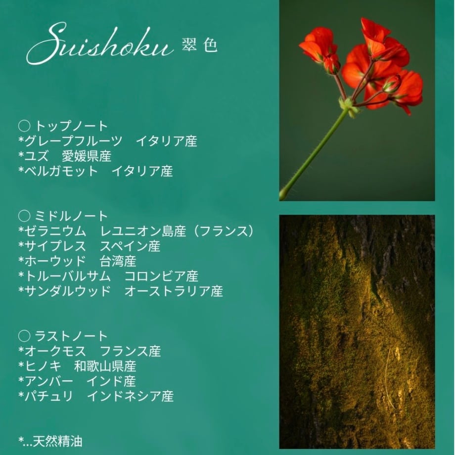 6a02cc247cf6bd08792918ed