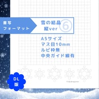 DL：書写フォーマット【雪の結晶】縦ver ⑥／マス目10mm／ルビ枠無／中央ガイド線有