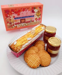 11_NOVEMBRE