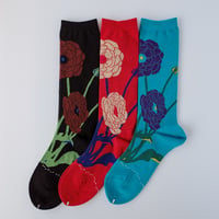 GARA SOCKS  [HANA]