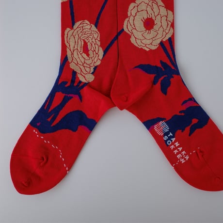 GARA SOCKS  [HANA]