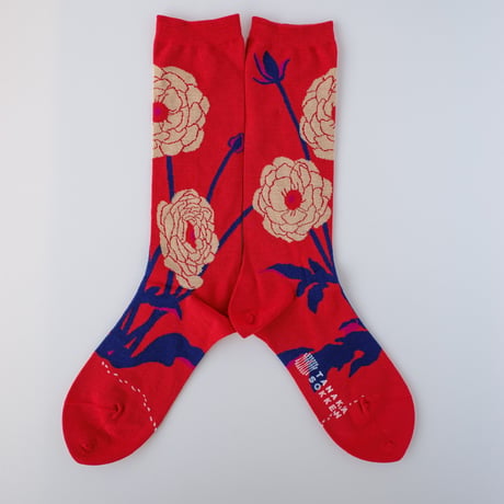 GARA SOCKS  [HANA]