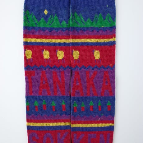 JACQUARD SOCKS  [TANAKA SOKKEN]