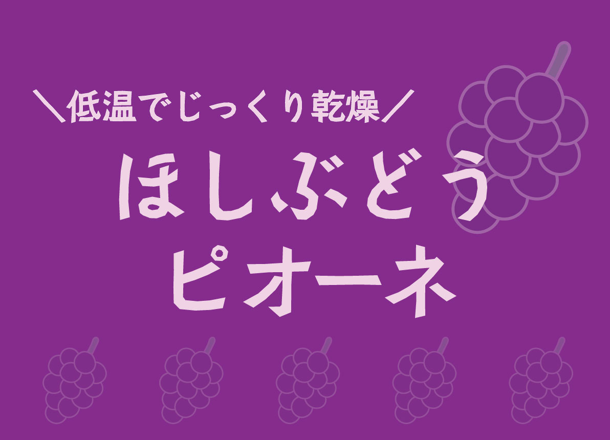 旨味がギュッと濃縮／ほしぶどう【ピオーネ／ドライフルーツ／岡山県産