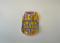 DogTee COLLEGE (SS size)