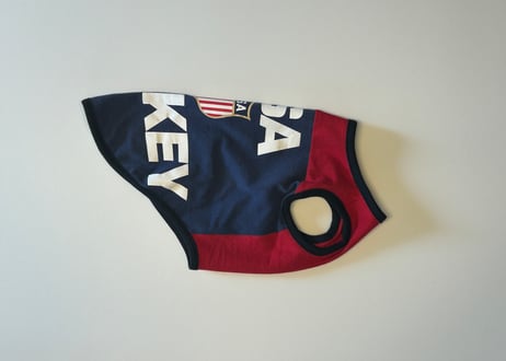 DogTee USA HOCKEY (S size)