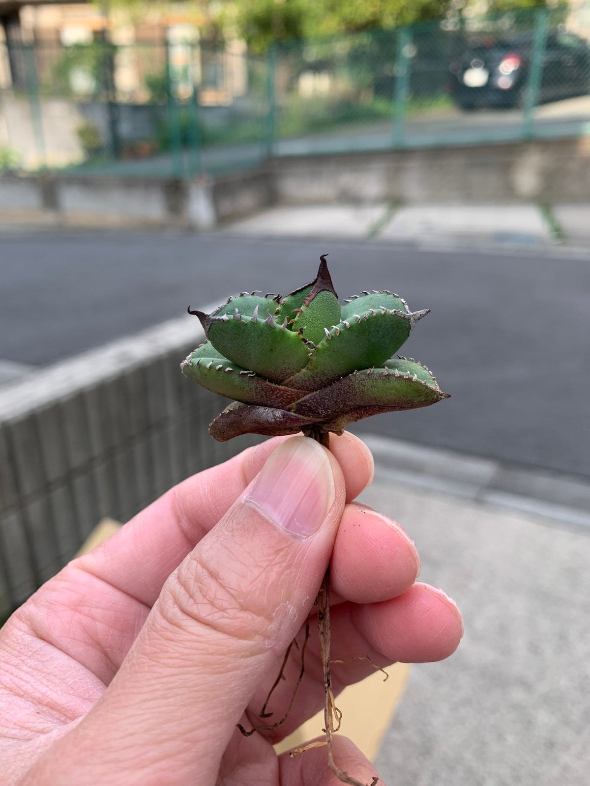 fit=scale-down,w=1200 