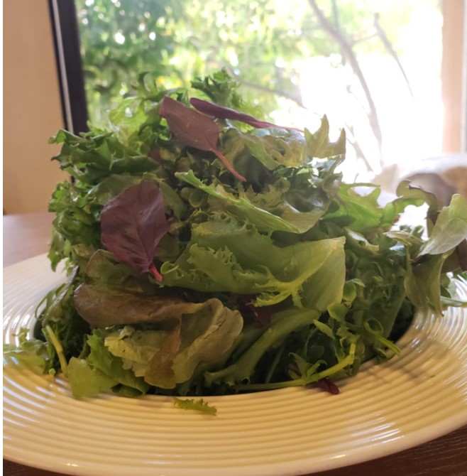 野菜サラダ 712YdESPgrL._UF350,350_QL50_.jpg