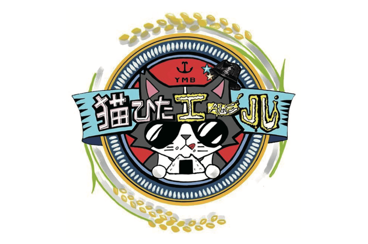 猫ひた Ale 6本セット (送料無料) | Yellow Monkey Brewing