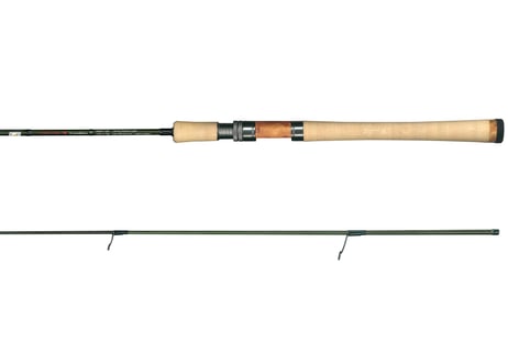 MANOMA TROUT