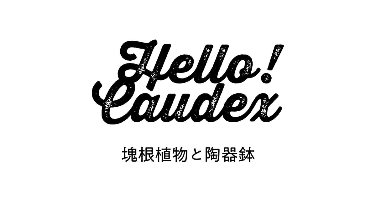 ITEM | 広島市内にある塊根植物と陶器鉢のお店 Hello!Caudex