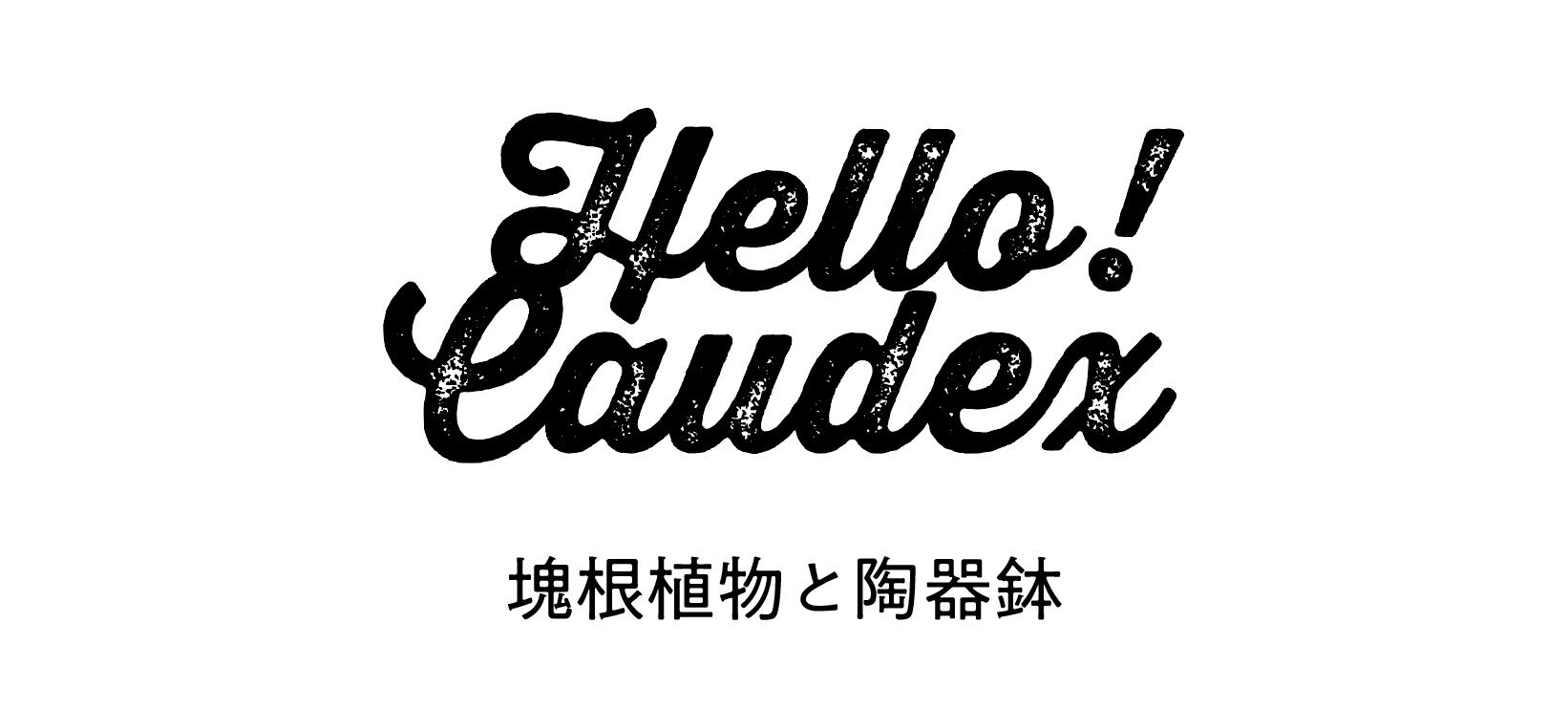 広島市内にある塊根植物と陶器鉢のお店　Hello!Caudex