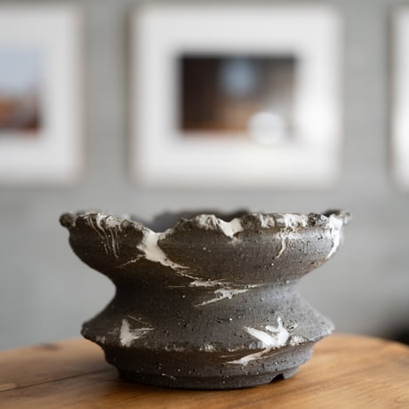 メストクレマ☆アルポリフォルメ☆塊根植物☆コーデックス☆発根済み鉢ごと