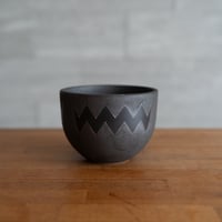 発根済】パキポディウム グラキリス × VALIEM青坊主コラボ鉢 Sサイズ