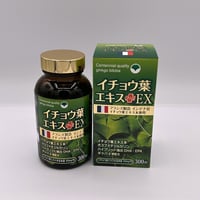 イチョウ葉エキスプラス