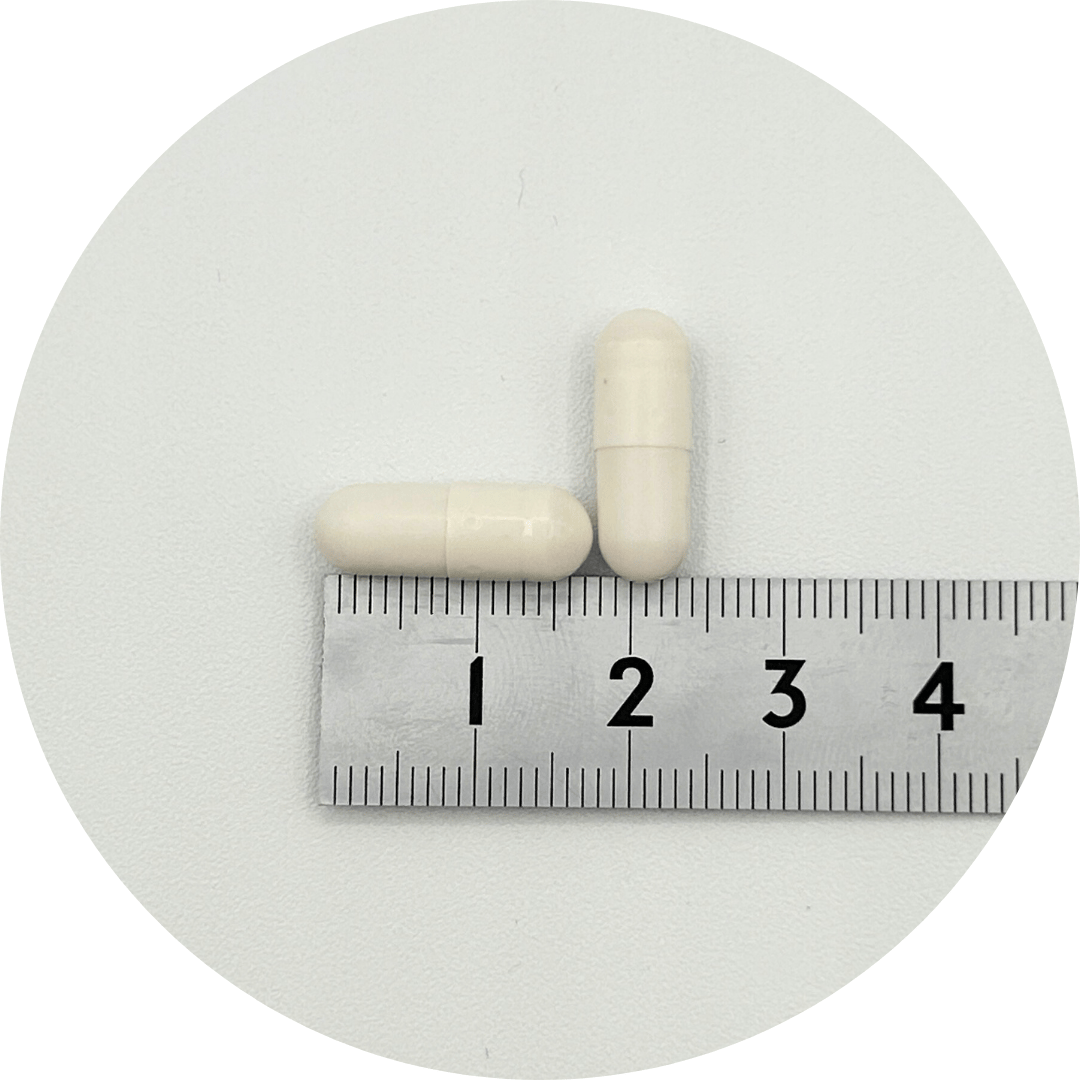 SEISHIN NMN PREMIUM | sincare store