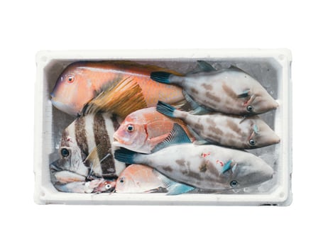 鮮魚パック