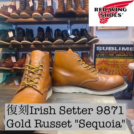 RED WING 9871 USA 犬タグ（美品 RED WING 9871 Irish Setter 9D USA 