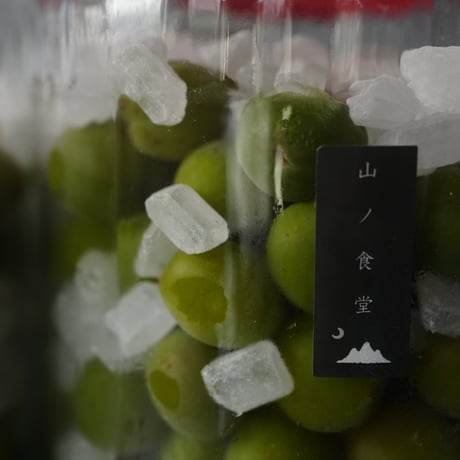 さっぱり青梅シロップ