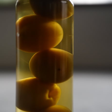 ぷっくり青梅甘露煮