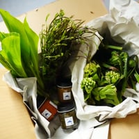 新潟南魚沼おまかせ山菜便-第2便