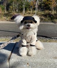 maribou 多機能wan nyan cap