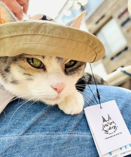 maribou 多機能wan nyan cap