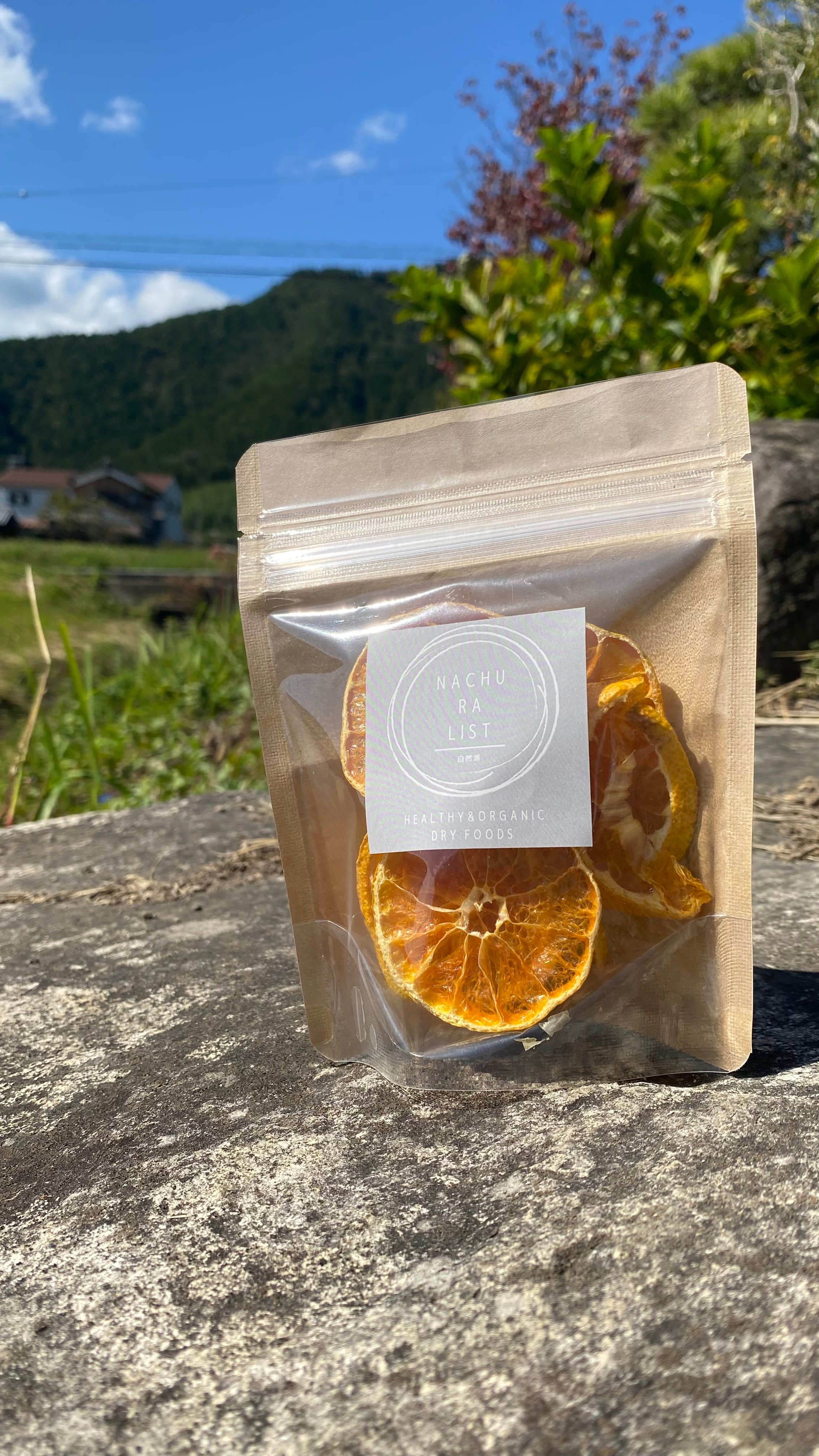 nachuralist-SETOKA ORANGE- | nachuralist-自然派-