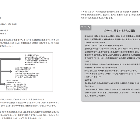 人気講座！【介助犬導入相談専門員・安心トリプル保証付き特別パック】