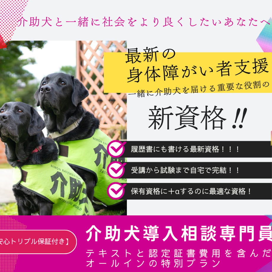 6608e9e7a2eab205903ecae3