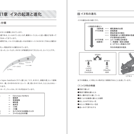 人気講座！【介助犬導入相談専門員・安心トリプル保証付き特別パック】