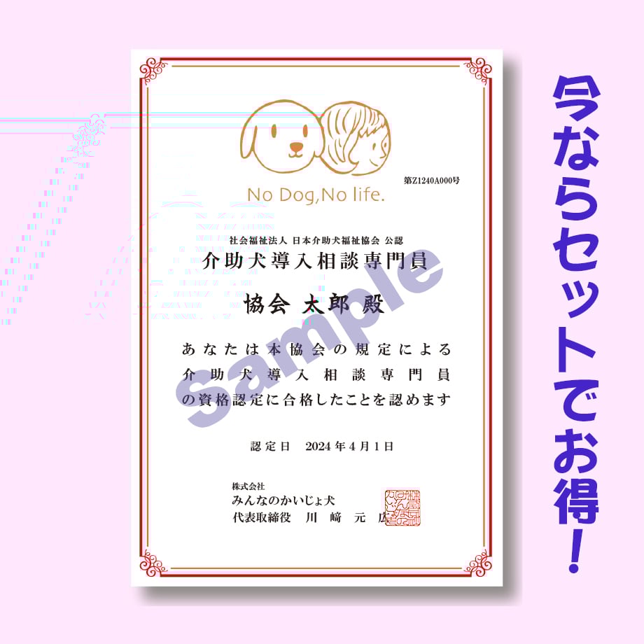6608e9e7a2eab205903ecae3