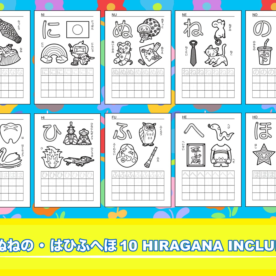 6641d4e2a89fa50589517b43