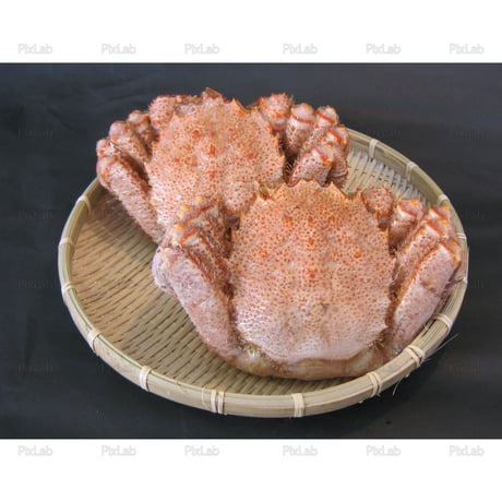 食材・食品・19点セット・写真・JPG・QS001