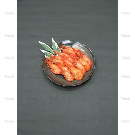 食材・食品・19点セット・写真・JPG・QS001