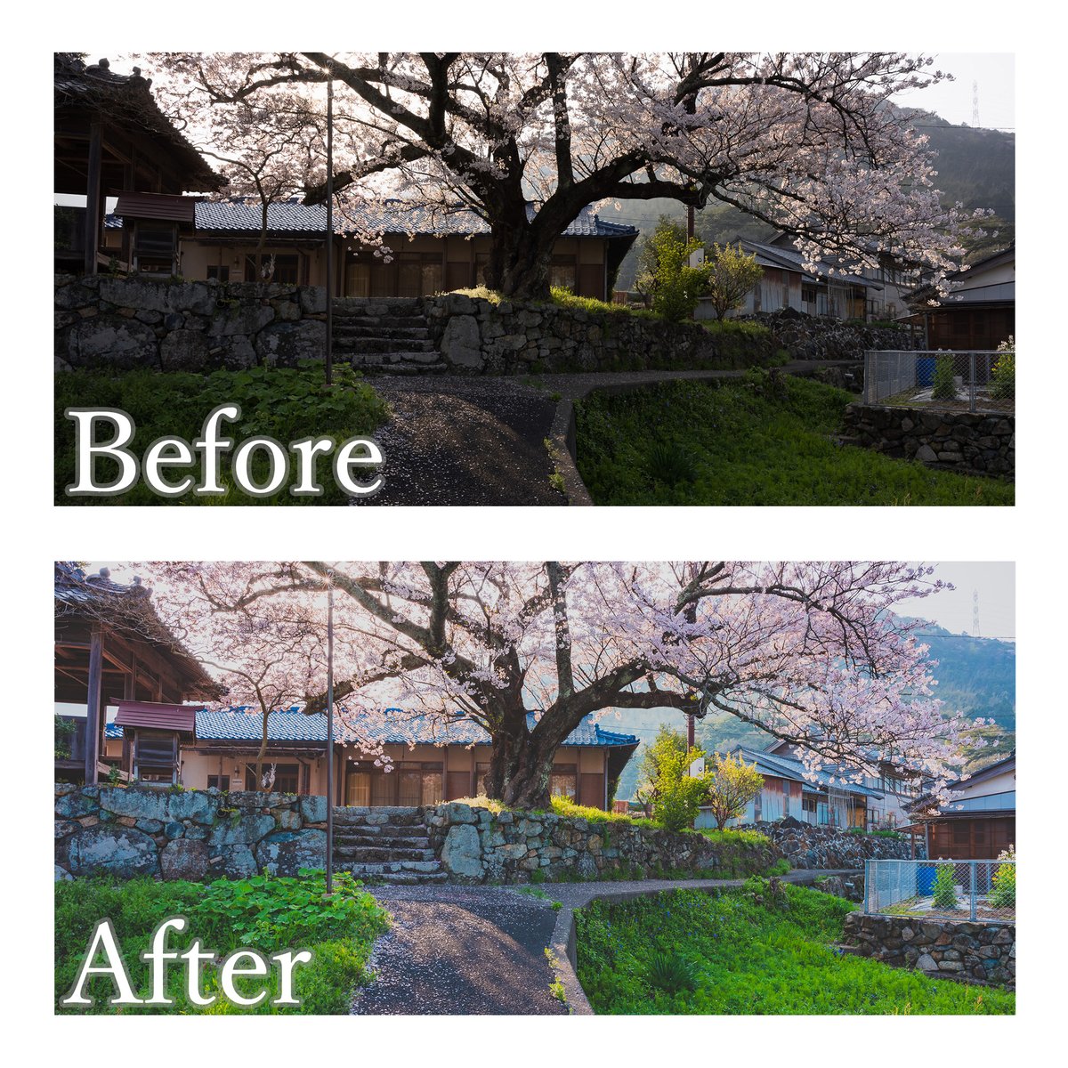 四季の彩り 4種セット Lightroom presets | DaikiInada